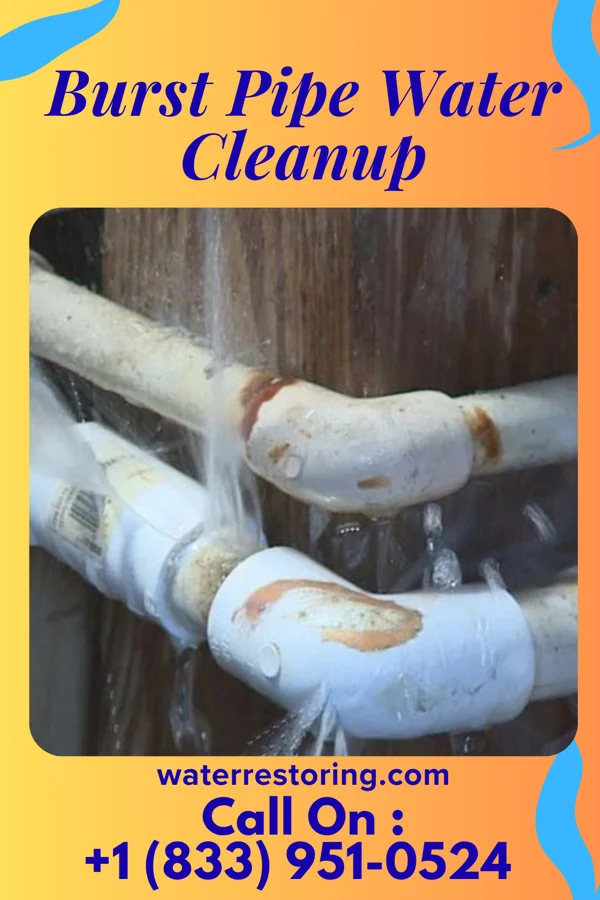 Burst Pipe Water Cleanup in Rocky Ford, CO