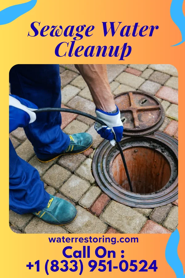 Sewage Water Cleanup in Rocky Ford, CO