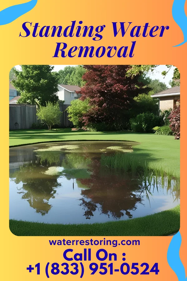 Standing Water Removal in Rocky Ford, CO